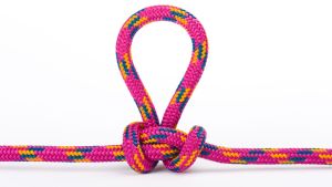 Butterfly Knot