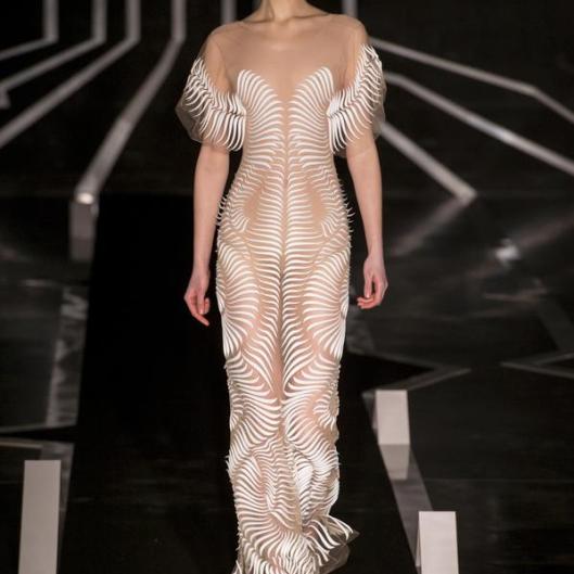 Iris van Herpen 2017