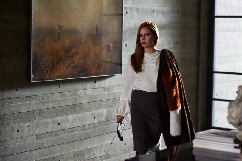 nocturnal-animals-001